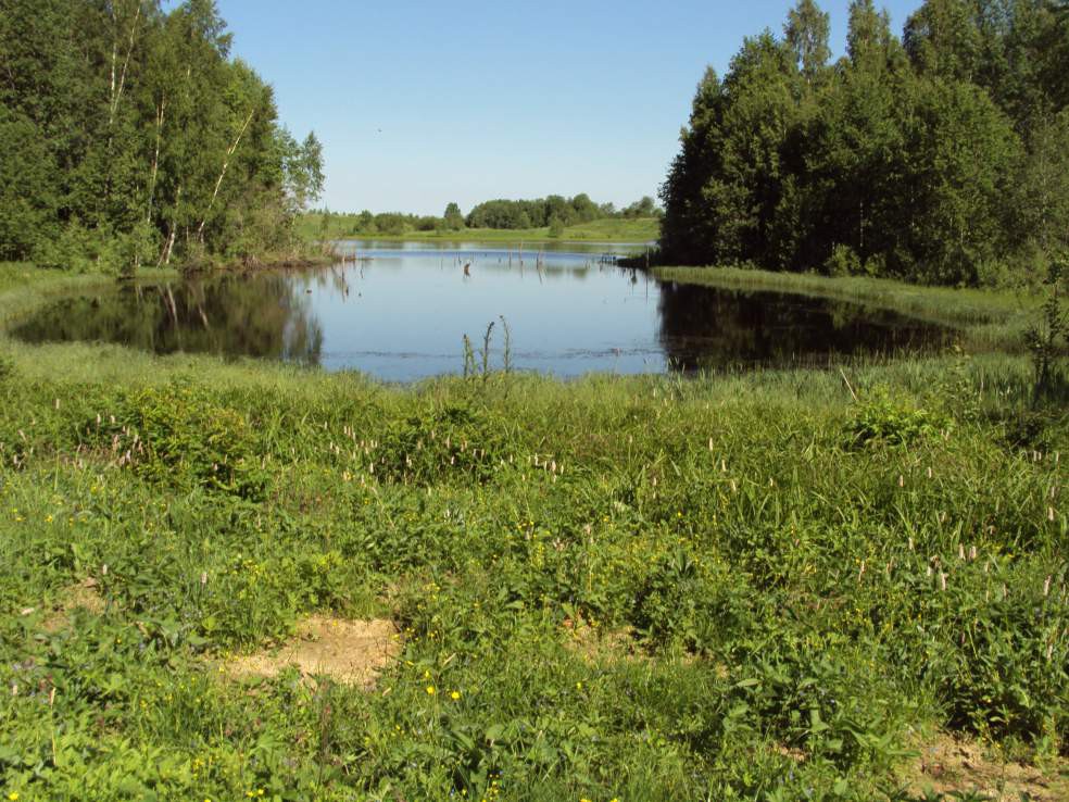 Земельные участки новгородский