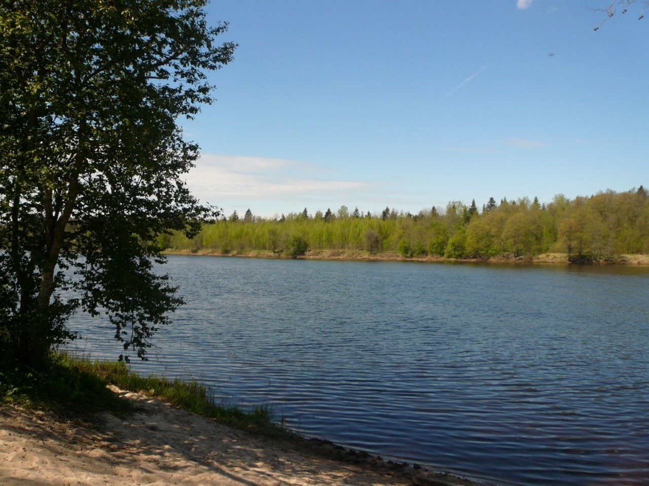 юркино озеро кингисеппский турбаза