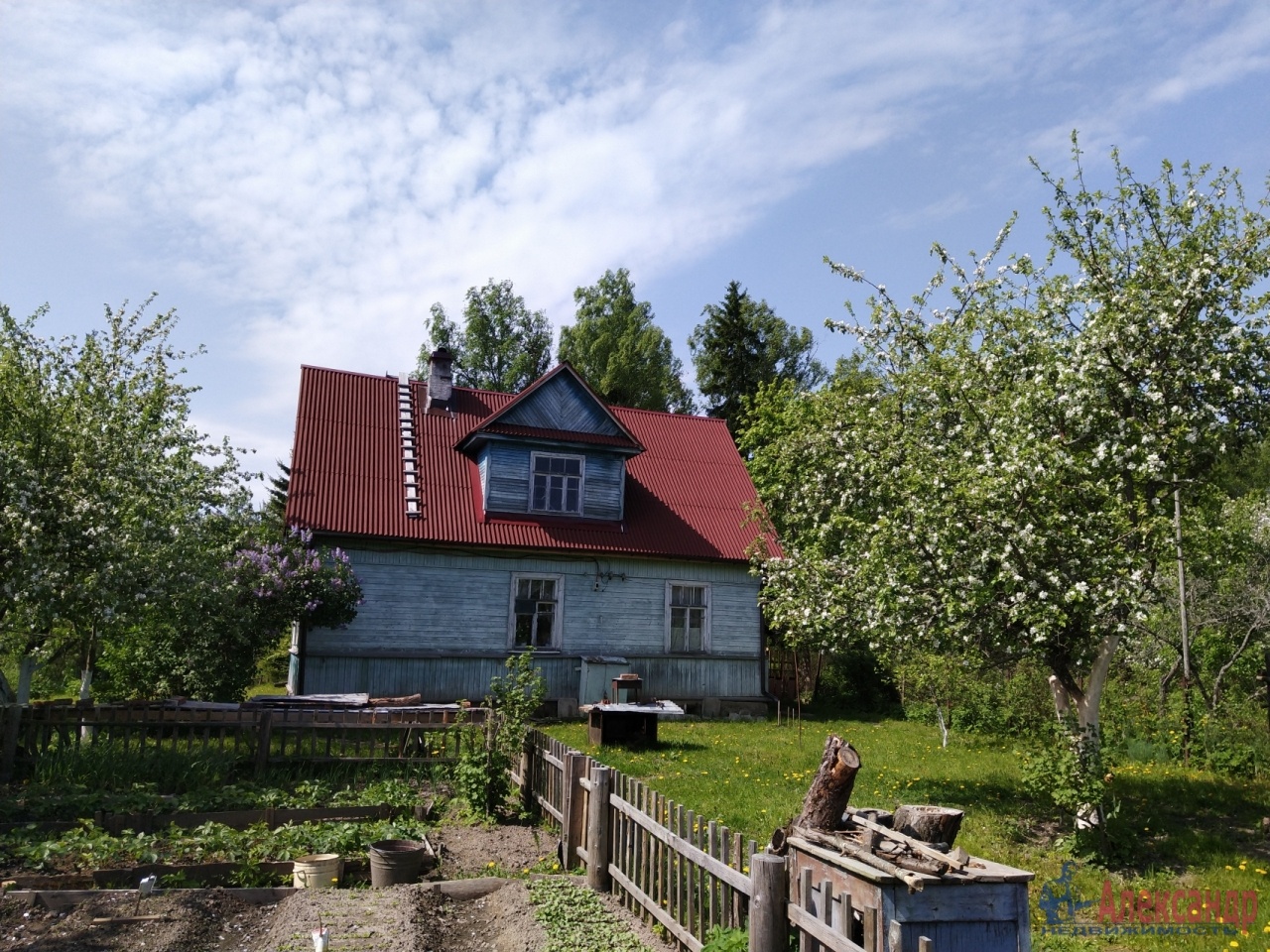 Спб дача бадмаева. Дом поселок карташевская. Дом карташевская. Карташевская ленинградская область. Дача печковского сочи.