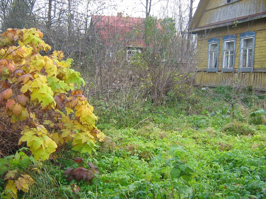 Участок В Нижних Осельках Купить