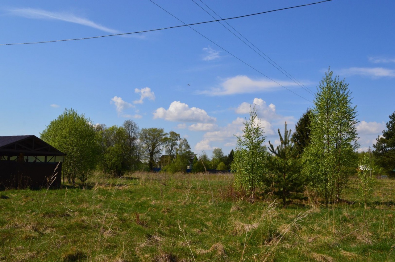 деревня нижняя шальдиха. пляж в нижней шальдихе. деревня нижняя шальдиха. погода в шальдихе ленобласти. погода в шальдихе ленобласти.