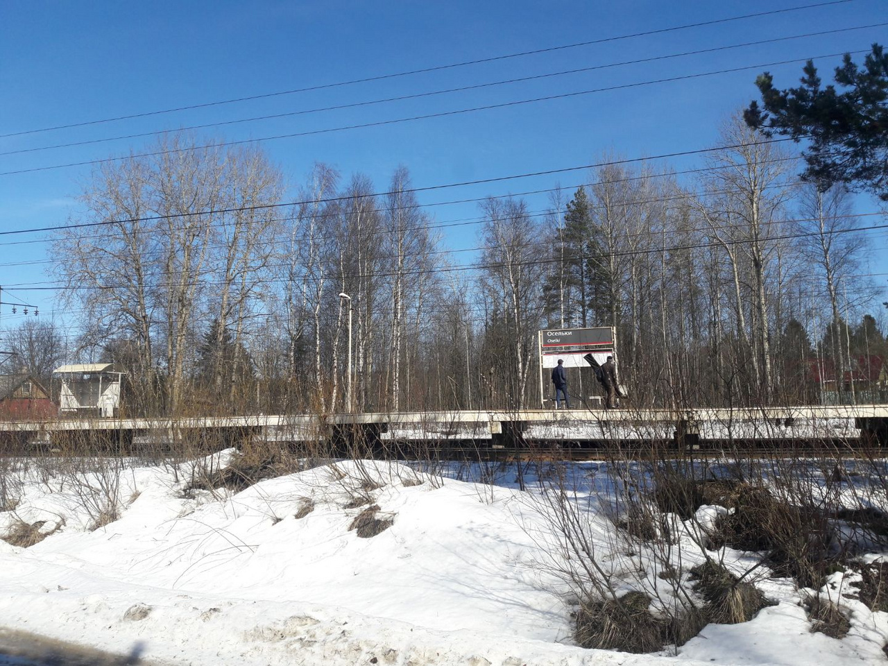 Участок В Нижних Осельках Купить