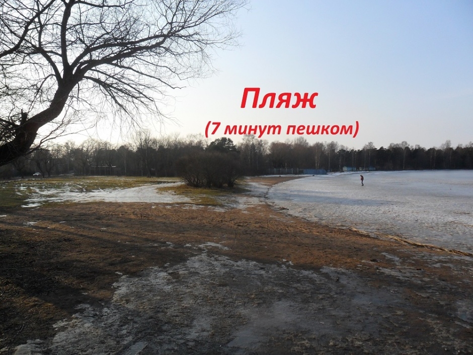 сестрорецк, ул коробицына. сестрорецк. коробицына 2 сестрорецк. жк капитан сестрорецк. жк на берегу сестрорецк коробицына 2.