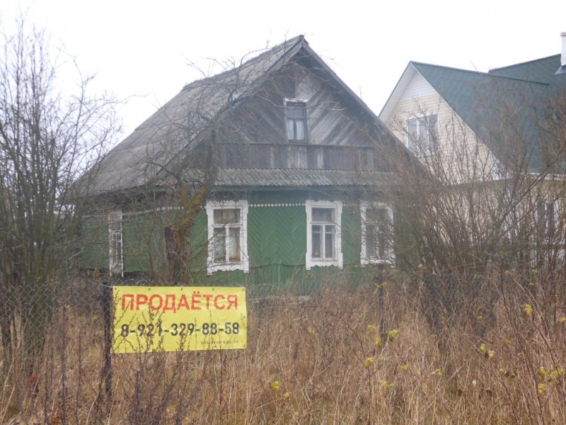 Красный бор тосненский р. Красный Бор (Тосненский район). Деревня Бородулино Тосненский район. Поселок красный Бор Санкт-Петербург. Конечки Тосненский район.