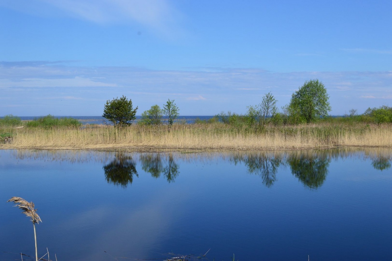 деревня шальдиха ленинградская область кировский район -история. погода в шальдихе ленобласти. нижняя шальдиха ленинградская область. деревня нижняя шальдиха. пляж назия н жняя шальдиха.