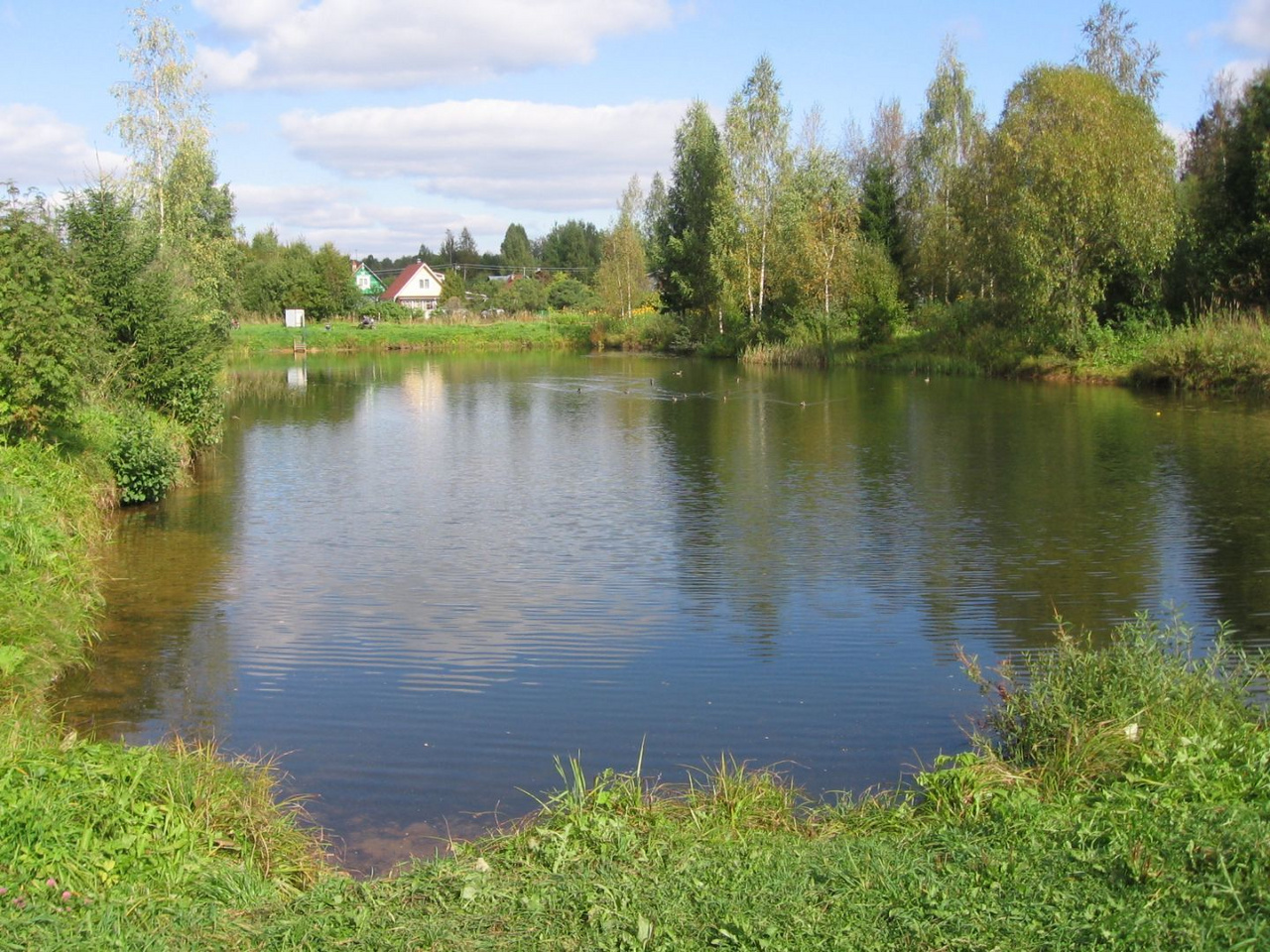 Карта дивенская лужский район