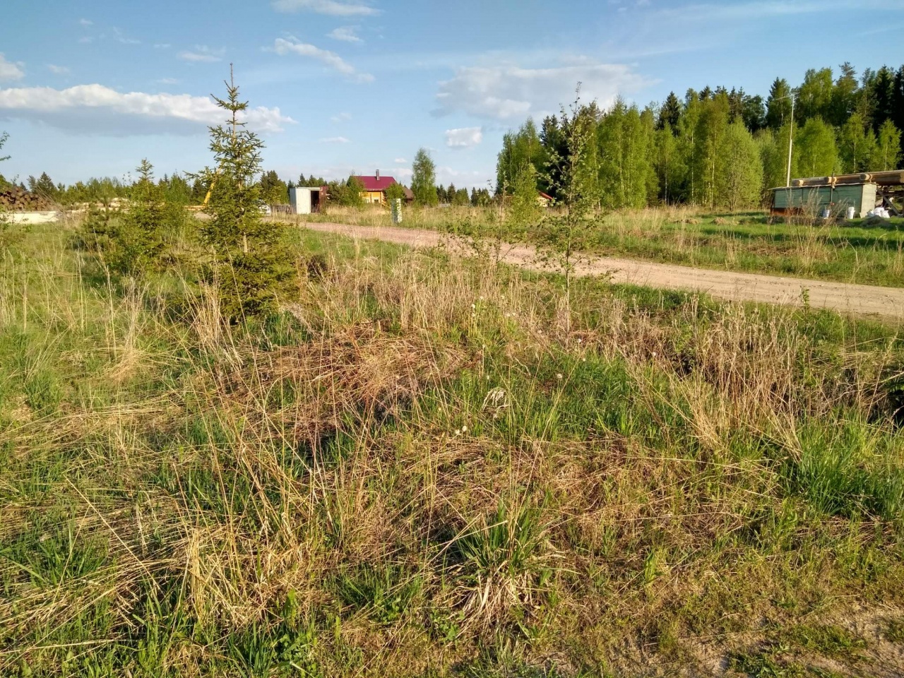 Где Купить Землю В Ленинградской Области