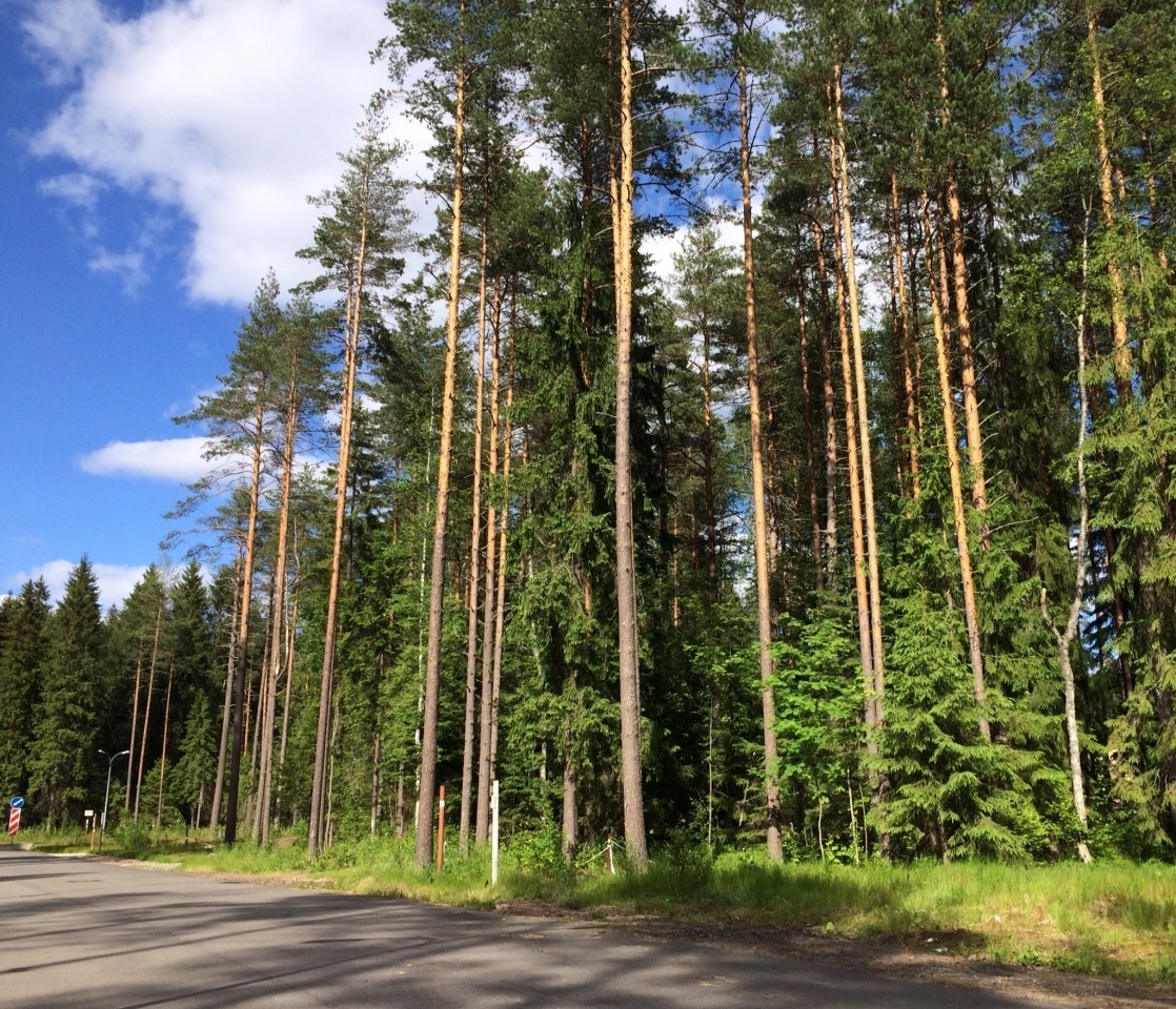 Зеленогорск московская область