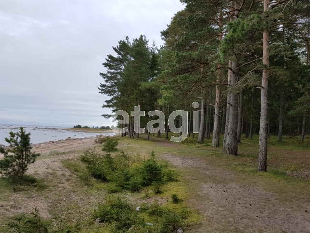 Деревня Шепелево Ломоносовский район