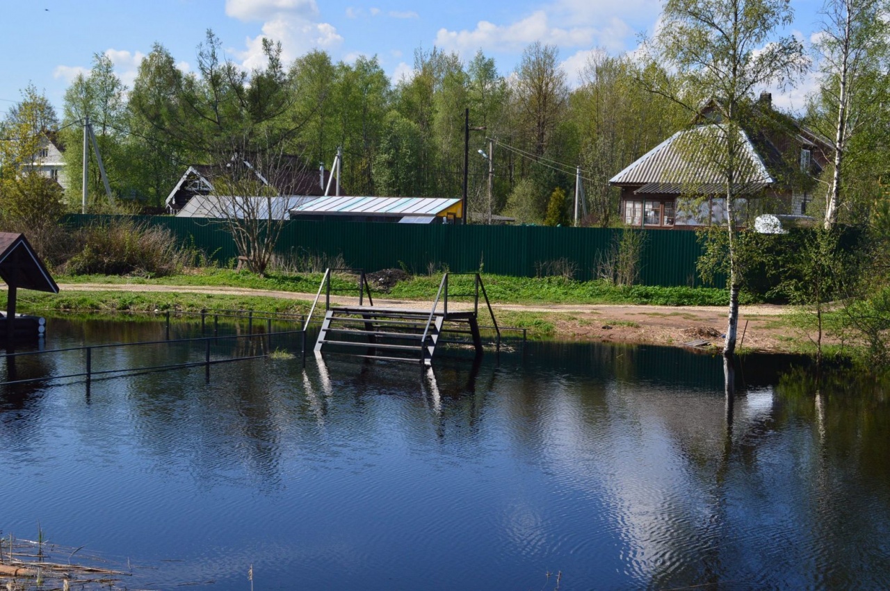 нижняя шальдиха пляж. нижняя шальдиха. деревня нижняя шальдиха. путилово. шальдиха ленинградская область.