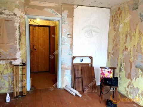 ковров восточная 52