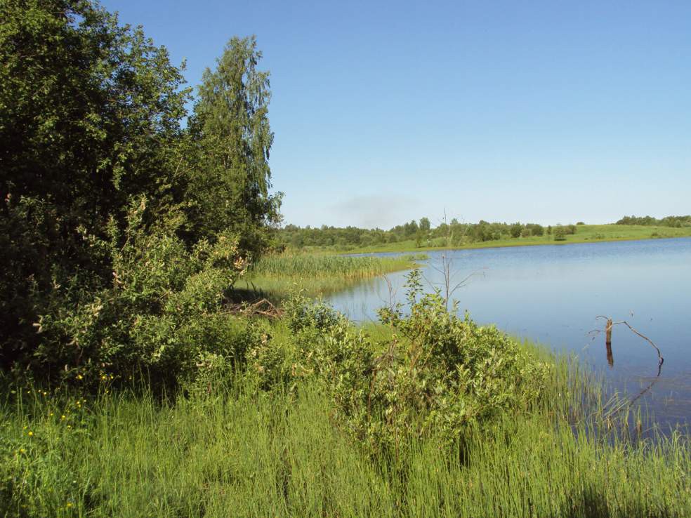 Земельные участки новгородский