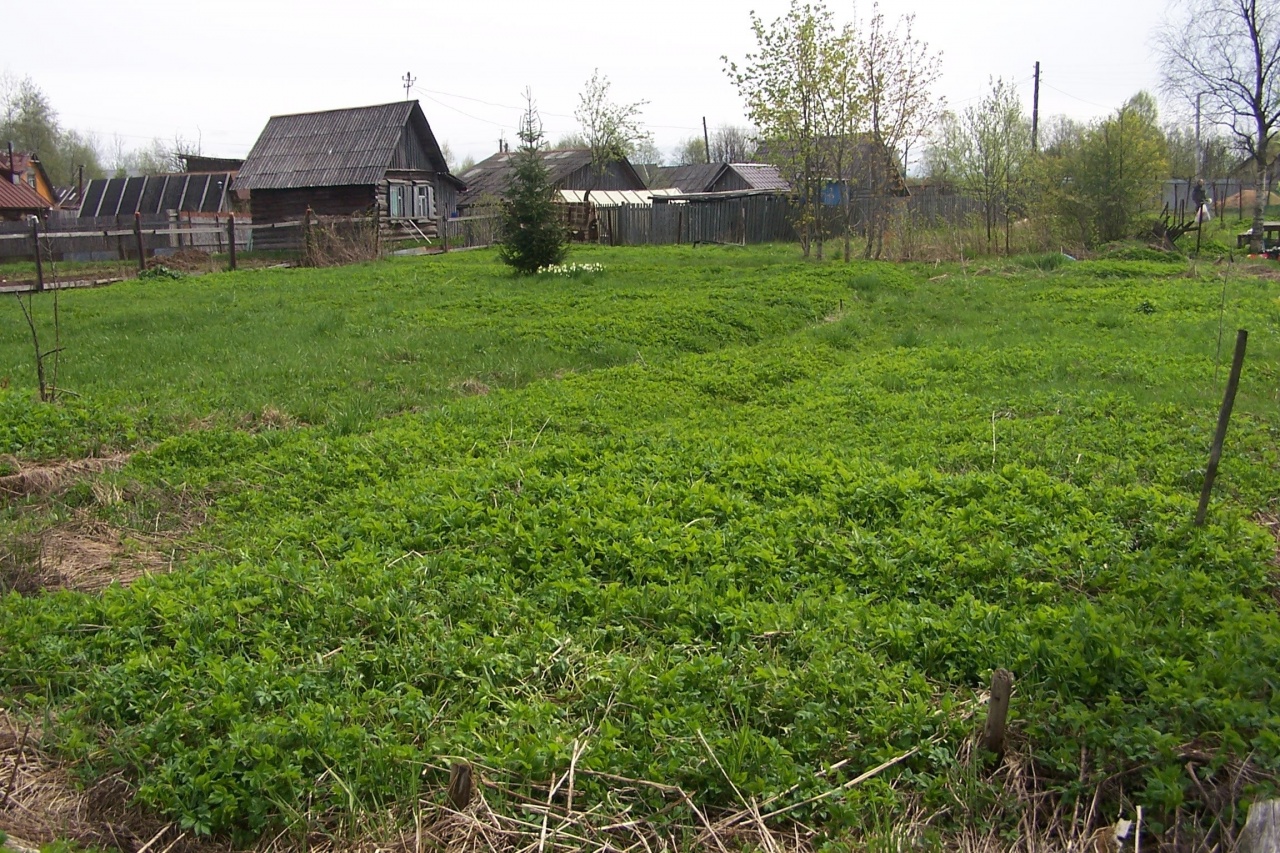 Купить Дом В Агалатово Ленинградской Области Ижс