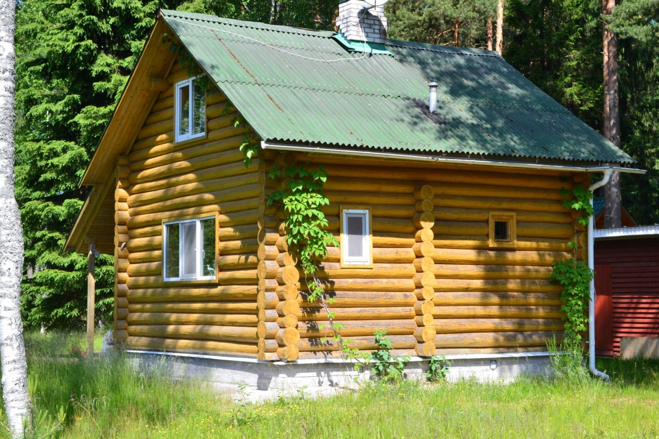 Поселок снт. СНТ Высоцкое Выборгский район. СНТ Высоцкое Псков. СНТ 