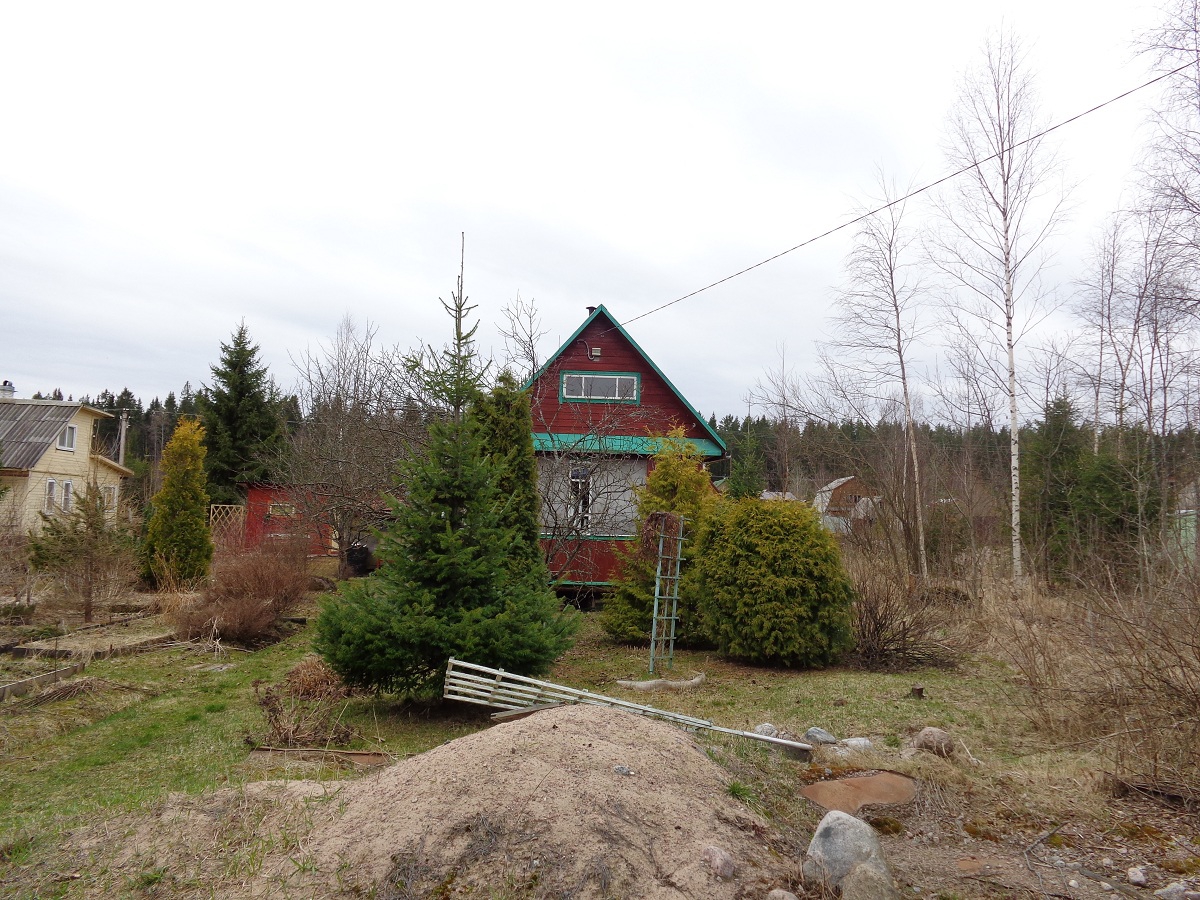 Лейпясуо. Снт красногвардеец лейпясуо. Лейпясуо ланское. Лейпясуо ланское. Лейпясуо (платформа).