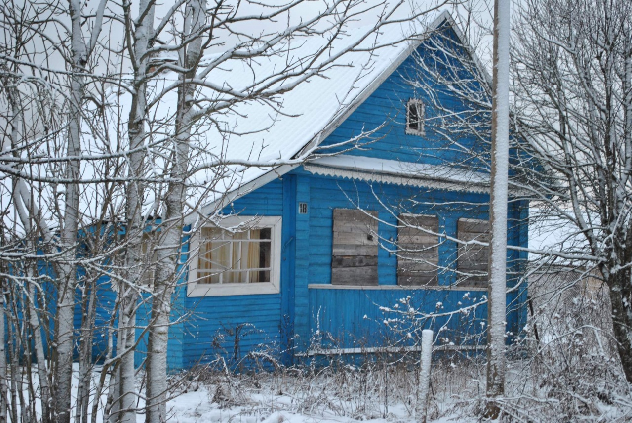 Новая деревня новгородская область