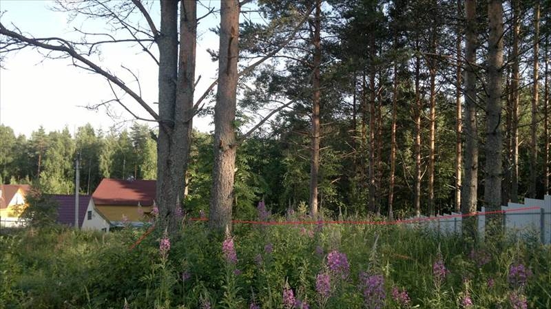 Гарболово ленинградская область фото