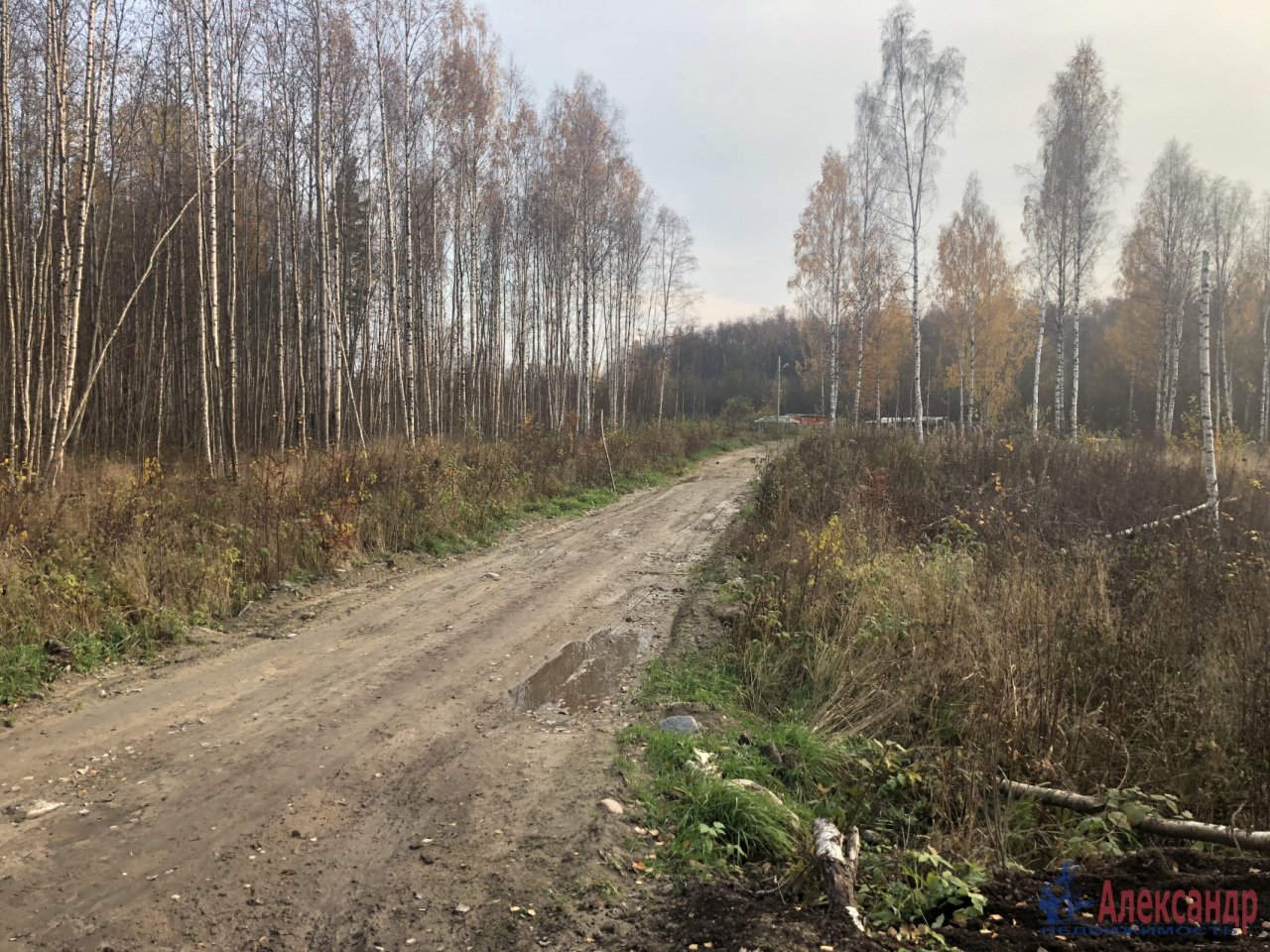 Погода громово приозерский на неделю. Ст.Громово. Вид из космоса ст. Громово Ленинградской обл. Окольцовка на Громово. Погода в Громово Приозерского района.