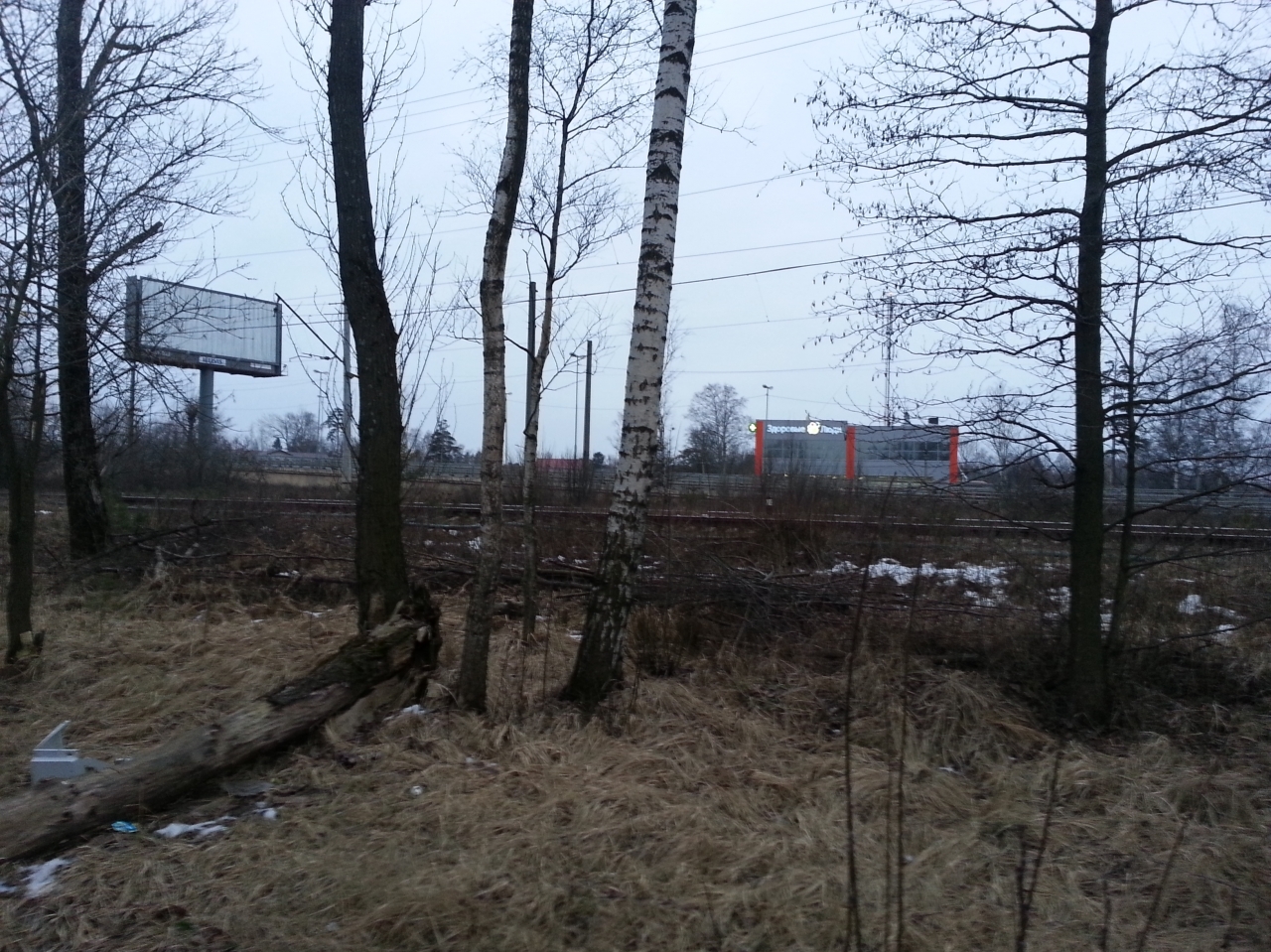 большой проспект 91 а. лисий нос коттеджи. участки лисий нос. поселок лисий нос. лисий нос, приморское шоссе 26.