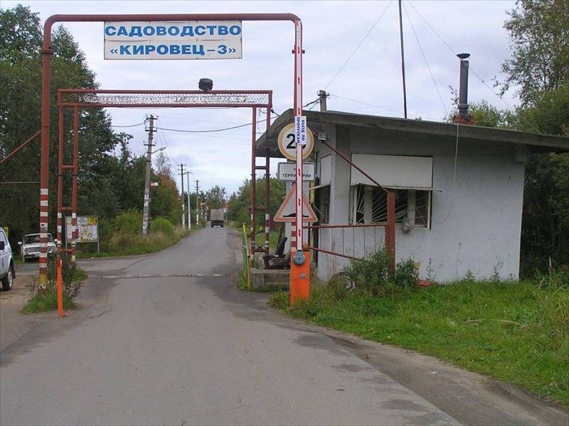 Синявино 2 Магазины
