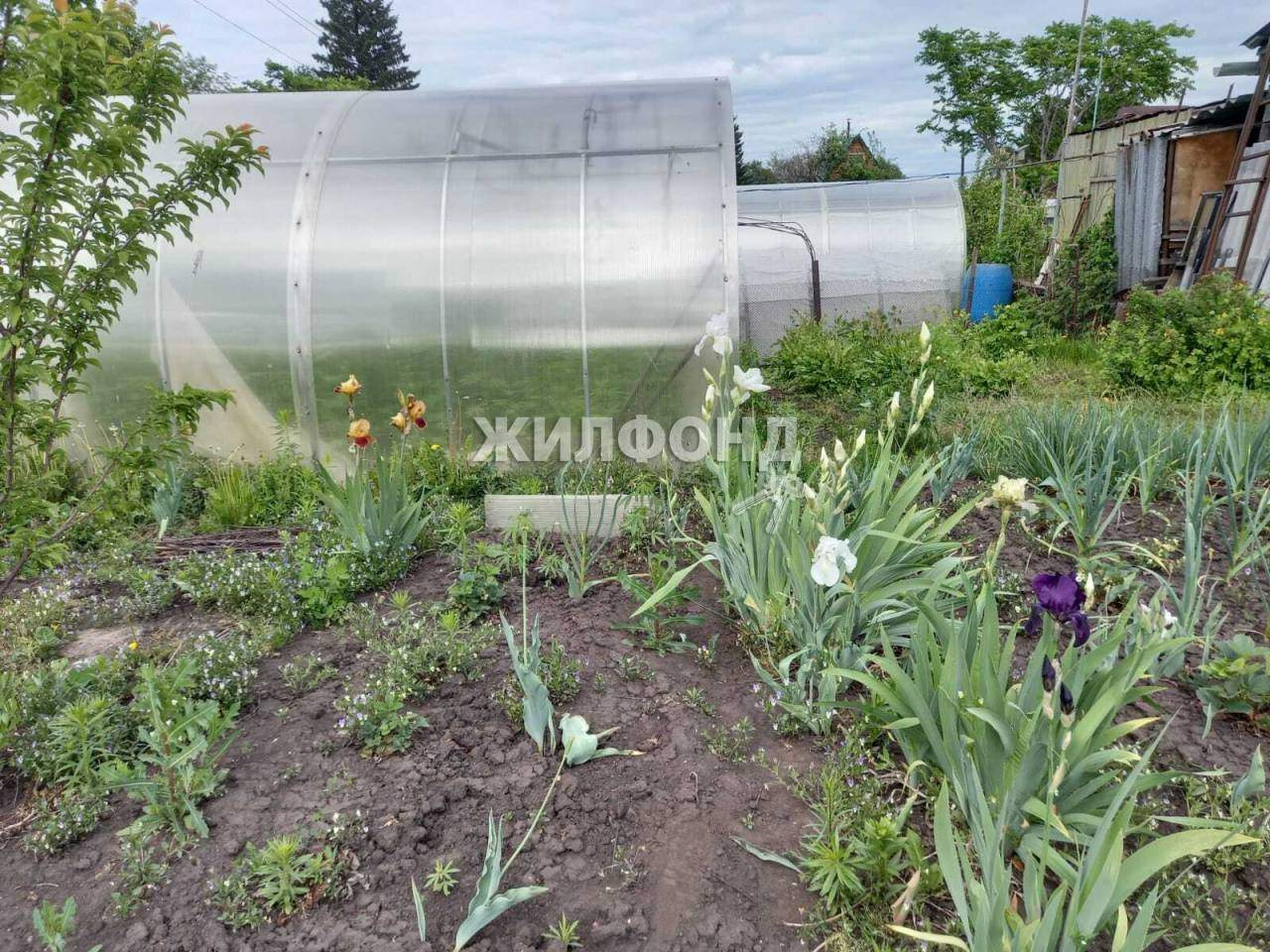 Купить Дачу Обской Залив Искитимский