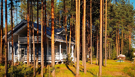 Мурманск 150 западная лица база подводных лодок нерпичья. Песочный западная лица поселок. Западная лица ленинградская область коттеджный поселок. Западная лица спб. Западная лица коттеджный поселок.