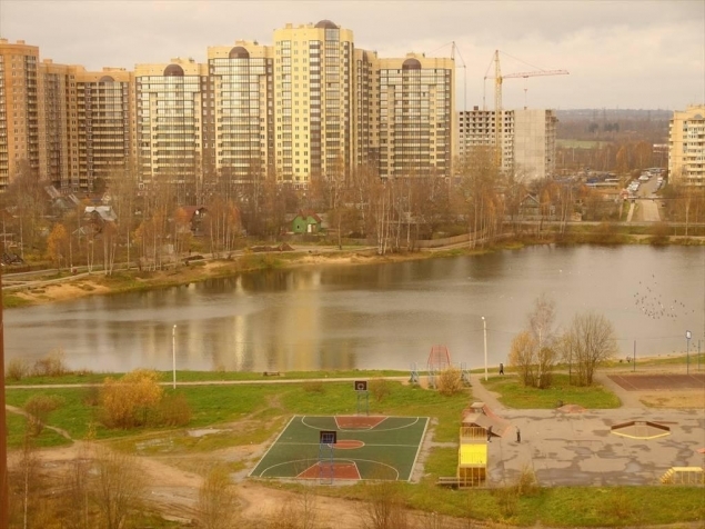 Деревня новое девяткино ленинградская