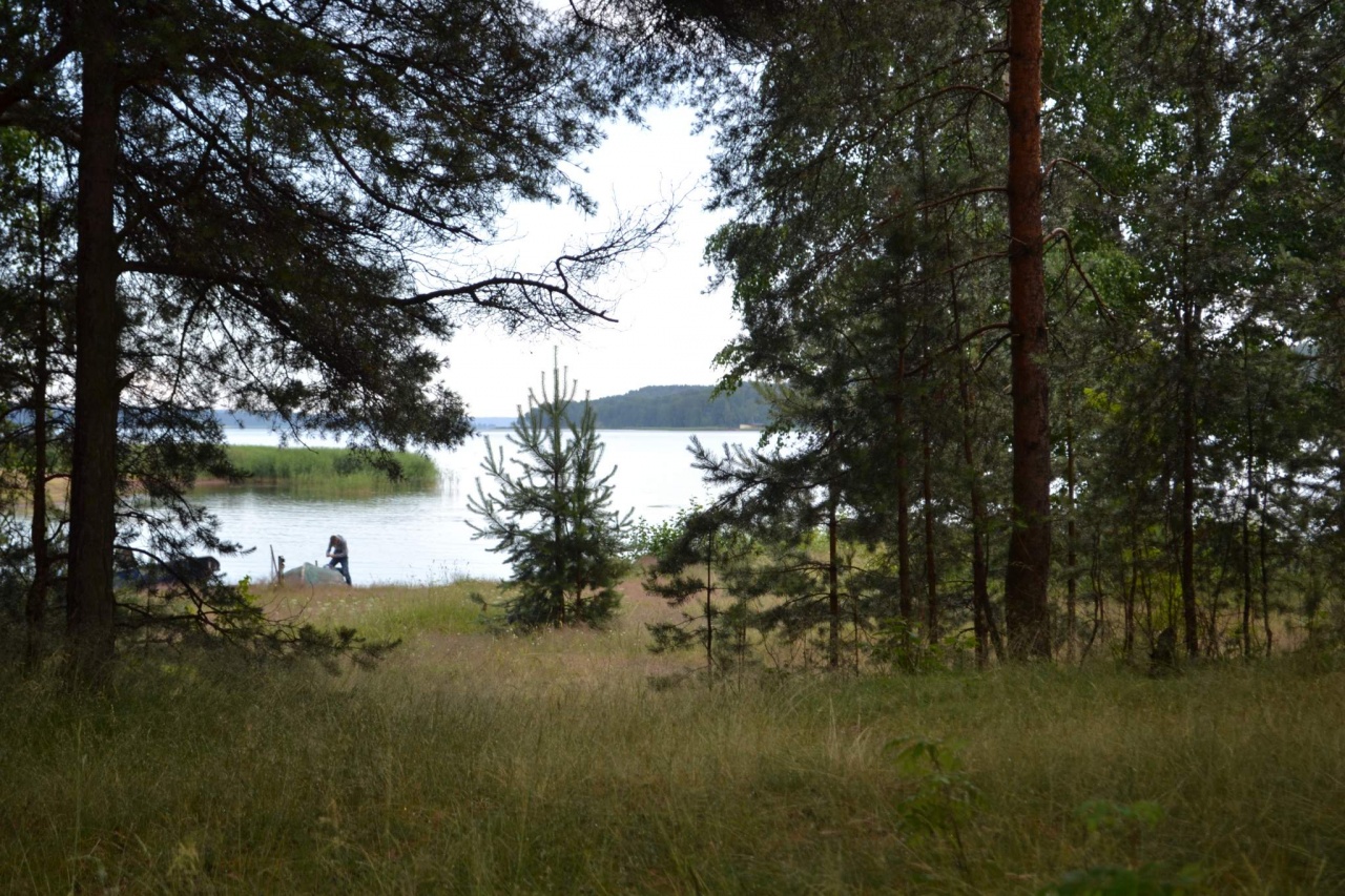 Соловьевка. Соловьёвка Приозерский район Ленинградской области. Ленинградская ул.,, посёлок соловьёвка Приозерский. Хабаровский край деревня Соловьевка. Приозерский р-н, пос. соловьёвка ул.Первомайская.