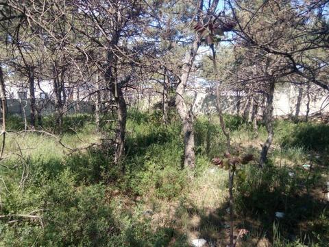 Купить Участок В Воронеже Под Коммерцию