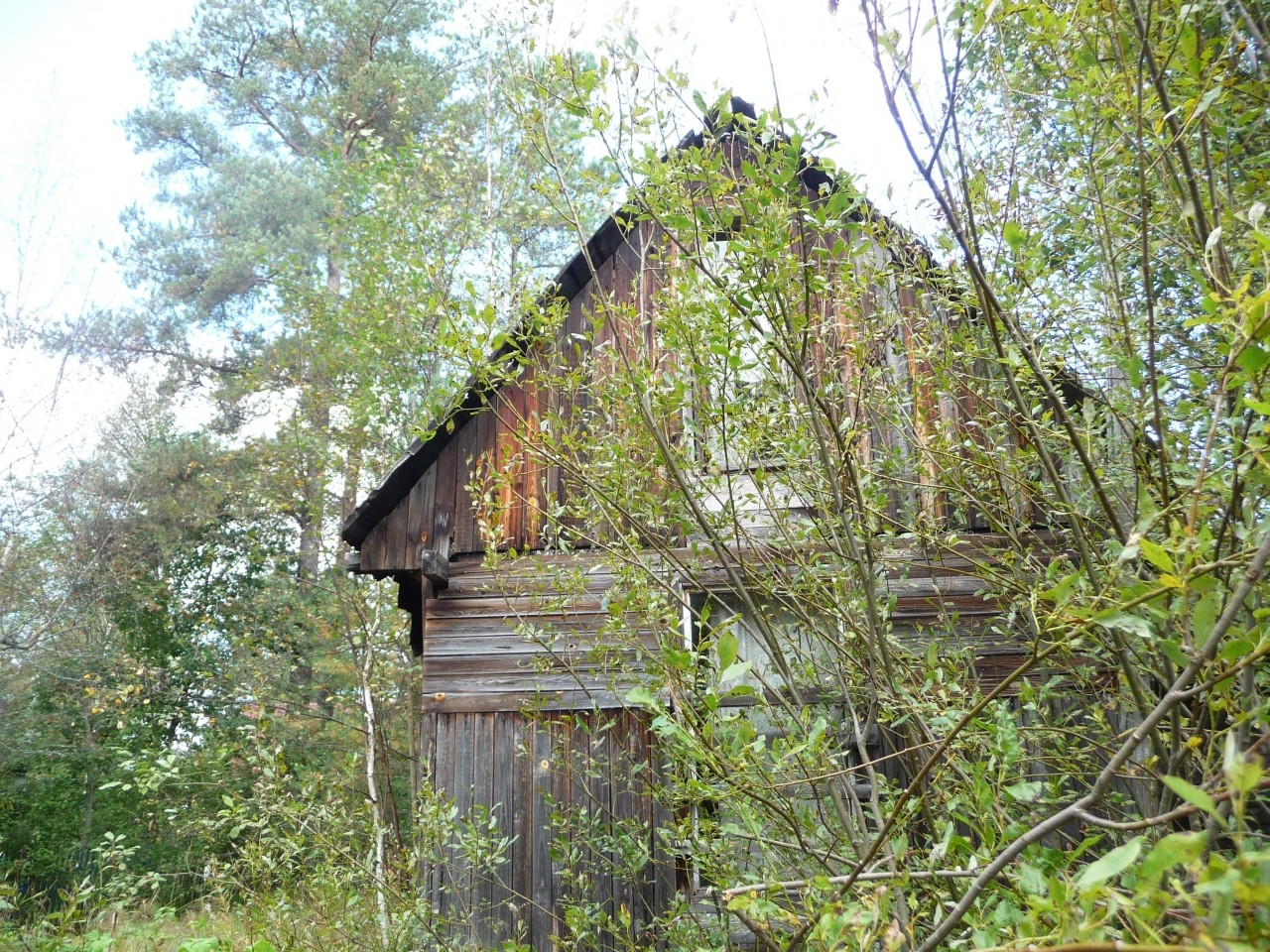 Странный дом в Васкелово Ленинградской области