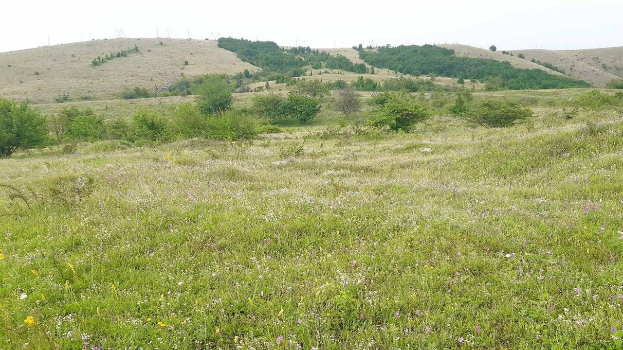 Село мраморное симферопольский. Мраморное Симферопольский район. Ст мраморное Крым. Фото поселка мраморное Симферопольский. Мраморное СНТ Крым Симферопольский р-н вид.