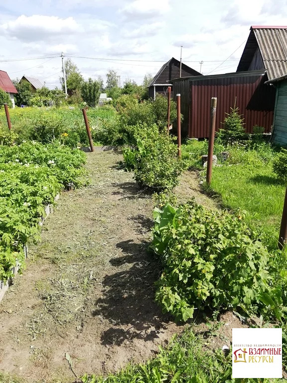 Купить Участок В Новой Мельнице Великий