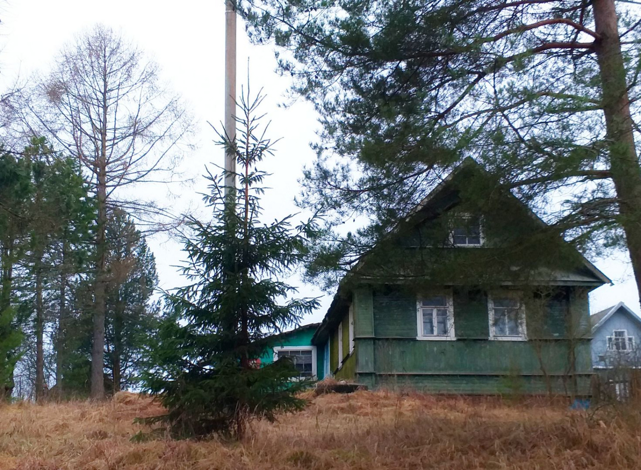 Домкино лужский район фото