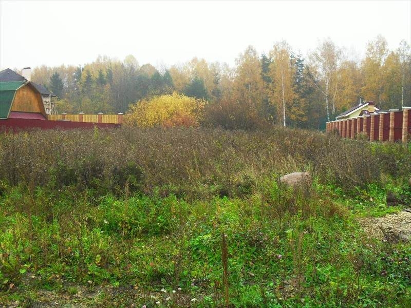 Ропша красное село