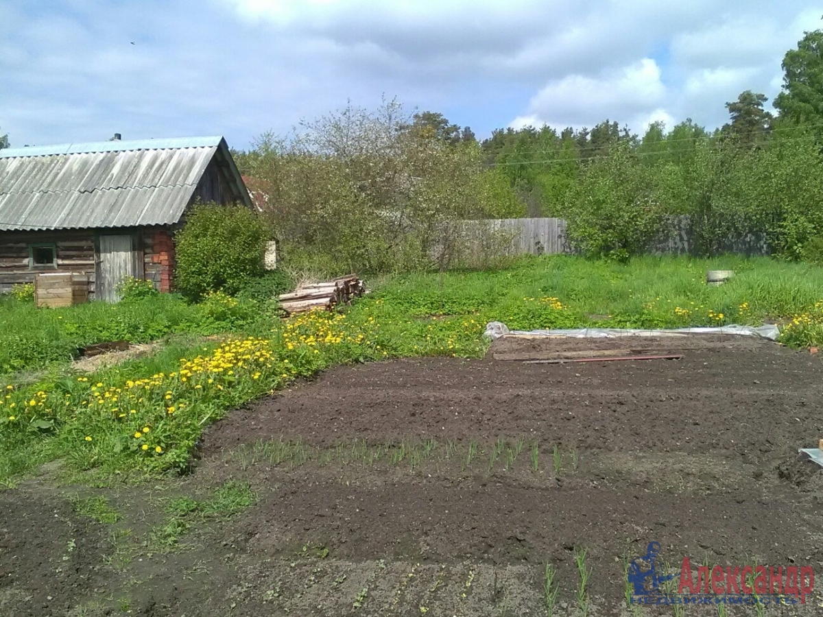 Купить Участок Песчаное Новгородский Район