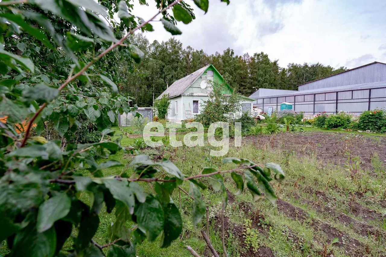 коттеджный поселок янино ограбление. дом янино 2. янино-1 коттеджный поселок. новое янино,цдс, янино-1, доу (ориентир голландская ул. коттеджи в янино.
