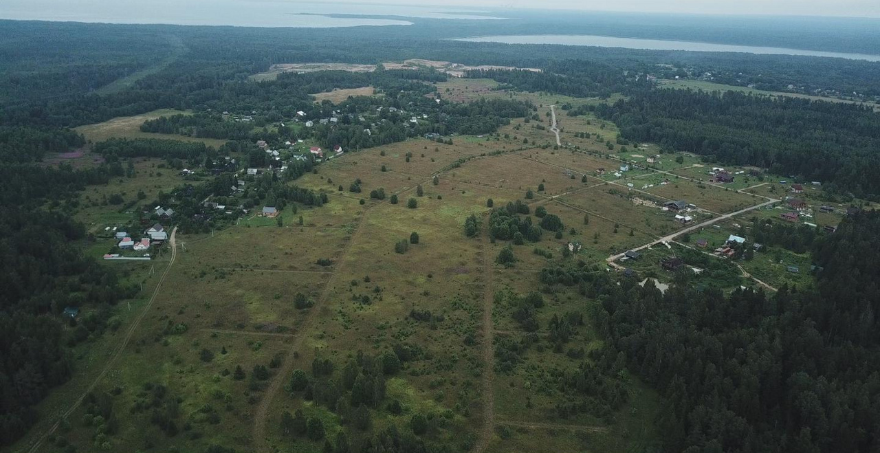 Деревня большие валговицы. Большое стремление кингисеппский. Деревня большое стремление. Большое стремление кингисеппский. Большое стремление кингисеппский.