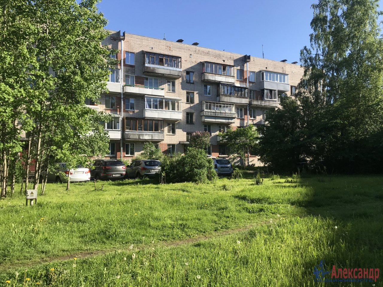 Пушкин детскосельский бульвар. Детскосельский бульвар 5 пушкин. Пушкин детскосельский бульвар 3. Пушкин детскосельский бульвар. Детскосельский бульвар 5 пушкин.