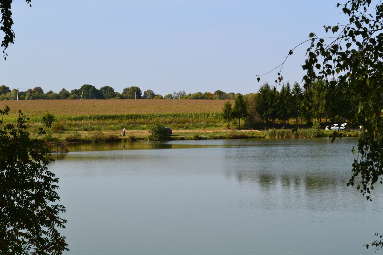 Река северка барыбино. Озеро в домодедовском районе. Пляж юсупово домодедово платный. Озеро ждановское московская область. Озеро в домодедовском районе.
