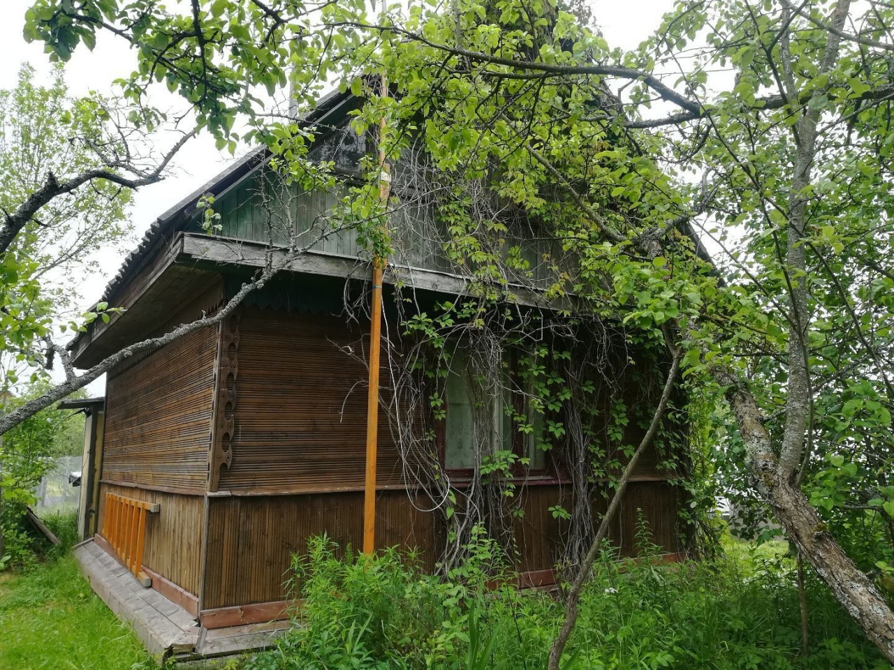 Кингисепп солка. Садовачный массив Солка.