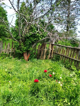 Купить Участок В Майском Вологодский Район