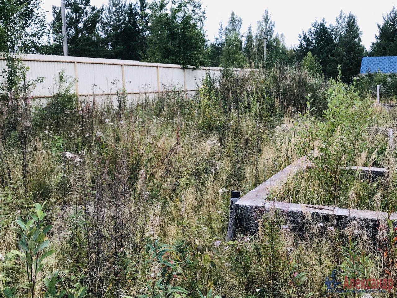 Снт фауна ломоносовский. Гостилицкое ш, СНТ «фауна». Садоводство шанс Ломоносовский район. СНТ фауна фото. СНТ фауна Ломоносовский район реквизиты счета.