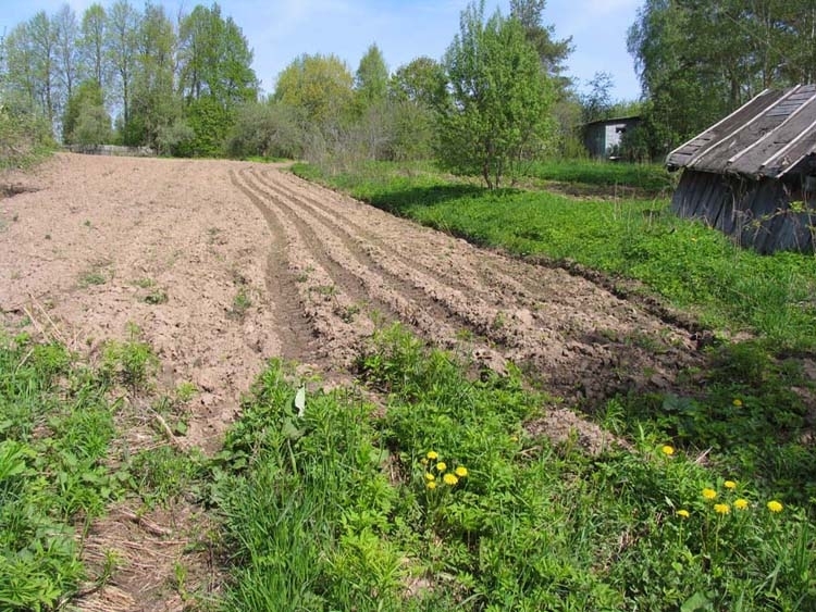 Участки в лужском районе. Деревня Холомцы Лужский район. Сватково Лужский район. Деревня Колодно Лужский район. Деревня Наволок Лужский район.