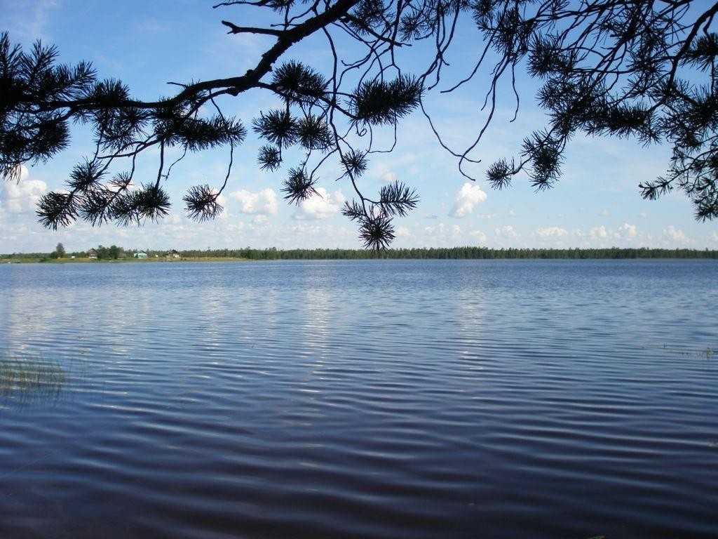 Кривое озеро украина