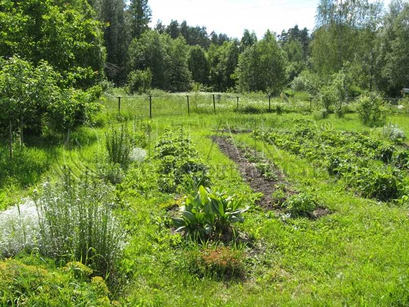 Купить Участок В Гатчинском Районе Коммунаре