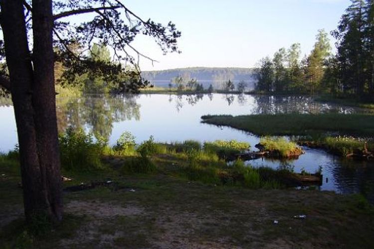 Озеро в сертолово
