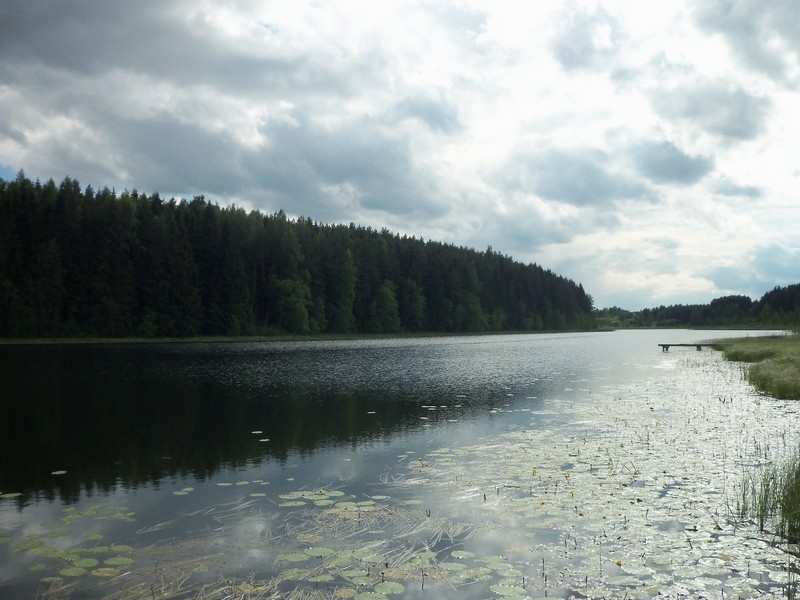 Фото Печорского Района