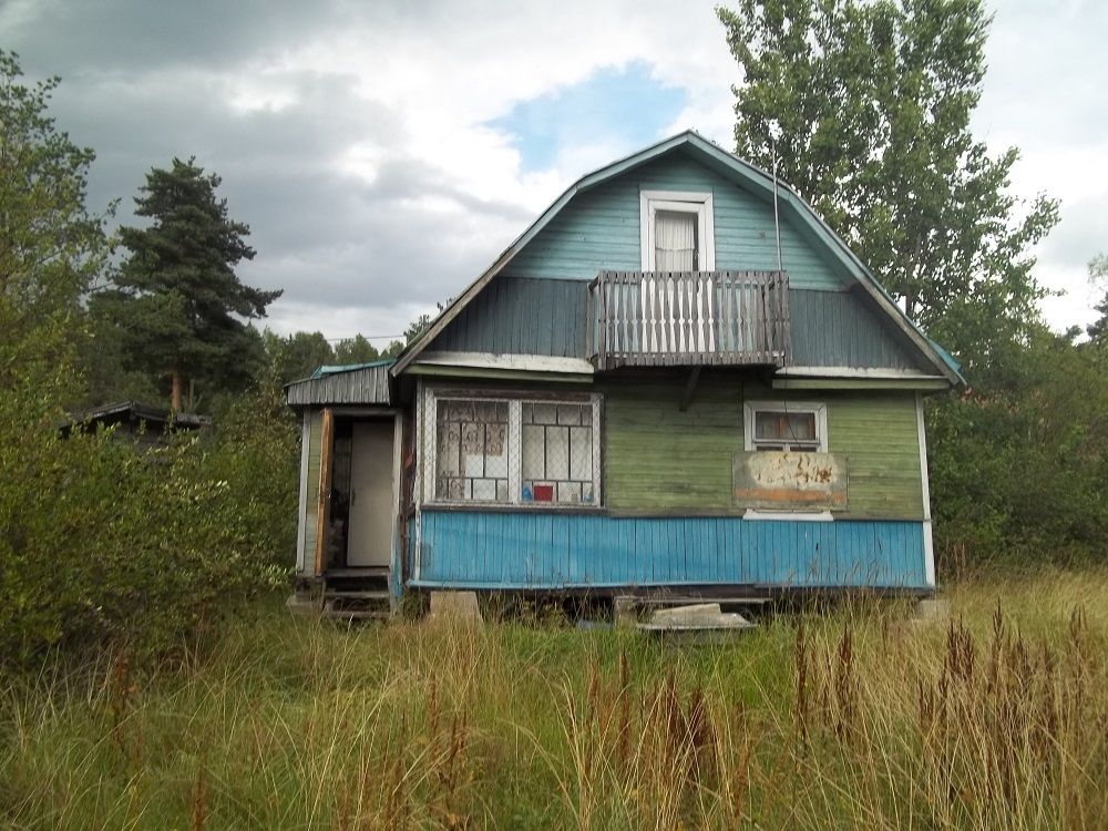 Циан ленинградская область. Борисова грива. Борисовские дачи.