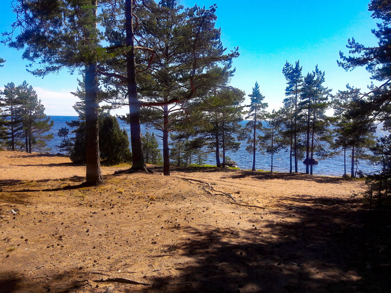 Купить Дом В Поселке Морозова Ленинградская Область