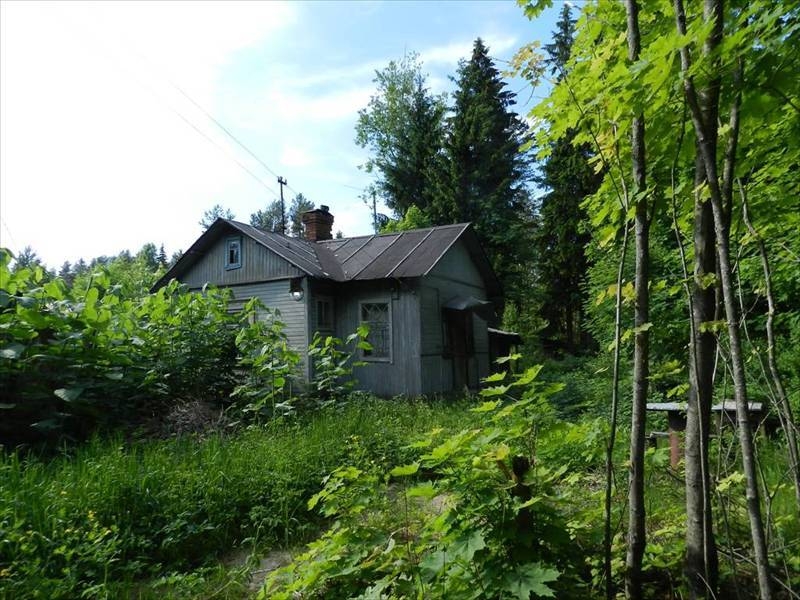 Ул хвойная санкт петербург. Ул хвойная санкт петербург. Ул хвойная санкт петербург. Хвойная улица санкт-петербург. , 24, посёлок ганино фото.